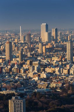 Doğal görünümünü Tokyo şehir manzarası, Japonya
