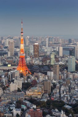 Doğal görünümünü Tokyo şehir manzarası, Japonya