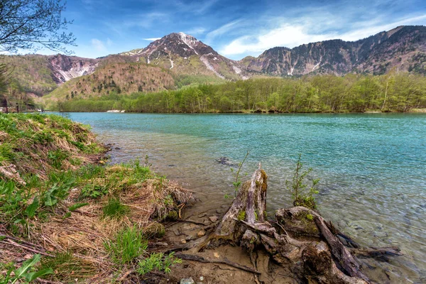 Paisaje Escénico Con Árboles Montaña Río Frente — Foto de Stock