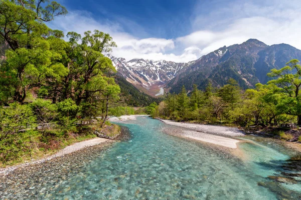Doğal peyzaj dağlar ağaçlar ve nehir önünde