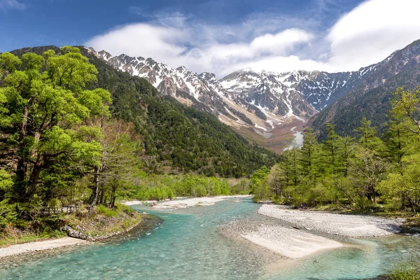 Scenic Landscape Mountains Trees River Front — Stock Photo, Image