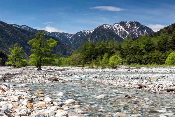 Paisaje Escénico Con Árboles Montaña Río Frente — Foto de Stock