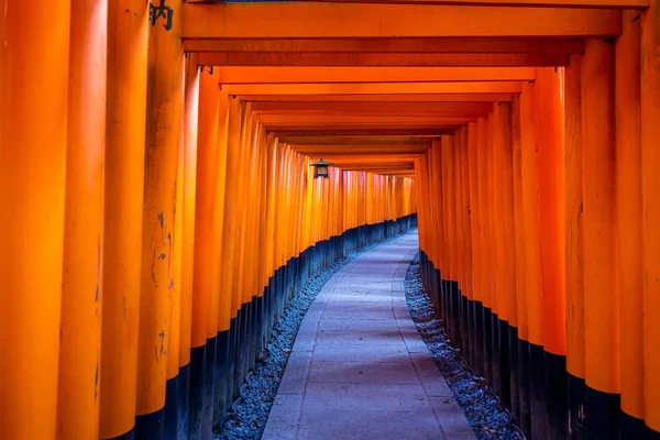 Puerta Roja Tori Santuario Inari Fushimi Kyoto Japón — Foto de Stock