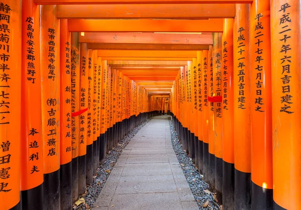 Puerta Roja Tori Santuario Inari Fushimi Kyoto Japón — Foto de Stock