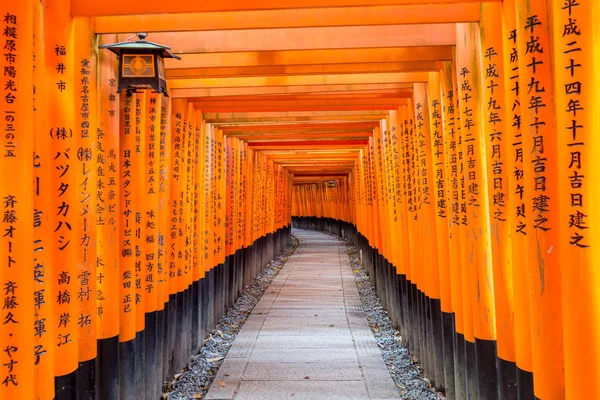 Porta Tori Vermelha Santuário Fushimi Inari Kyoto Japão — Fotografia de Stock