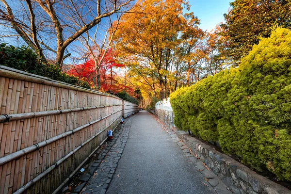 Осенние Деревья Возле Тротуара Районе Арашияма Япония — стоковое фото
