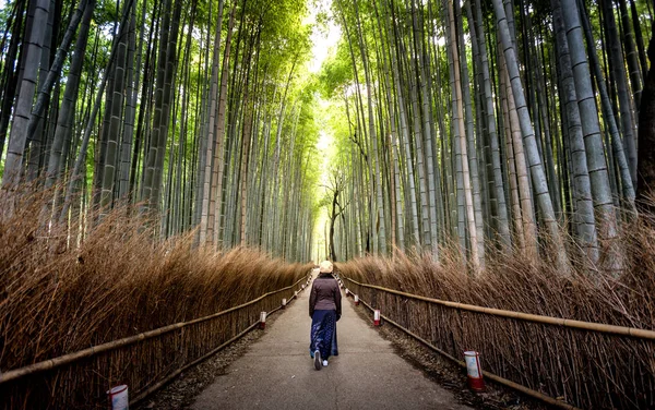 Área Arashiyama Autumm Kyoto Japão — Fotografia de Stock