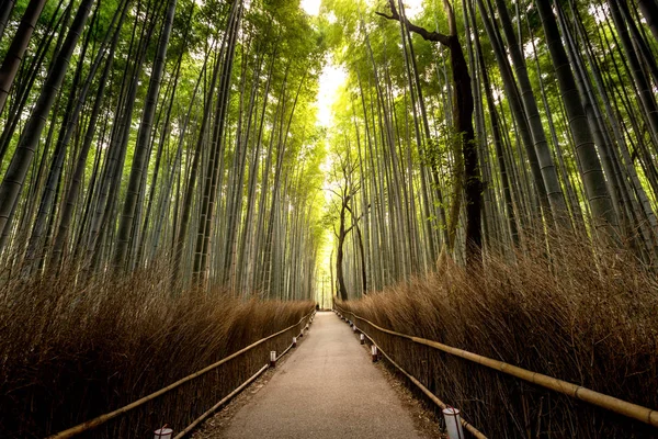 Arashiyama Area Autumn Kyoto Japan — Stock Photo, Image