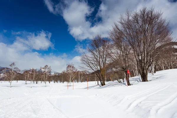 Sneeuw Land Niigata Regio Overdag Japan — Stockfoto