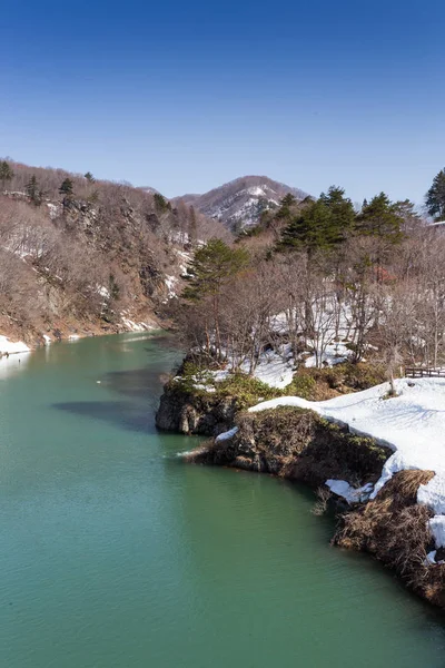 日本では新潟地域に雪国のビュー — ストック写真