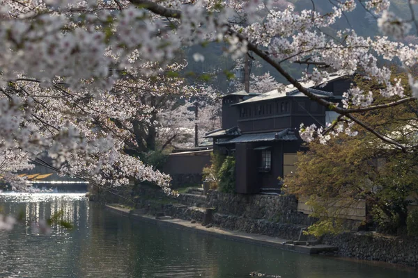 Vista Del Antiguo Templo Kyoto Rodeado Árboles Durante Día Japón —  Fotos de Stock