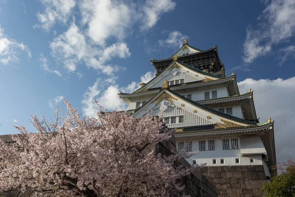 Antiguo Templo Osaka Rodeado Árboles Florecientes Sakura Japón —  Fotos de Stock