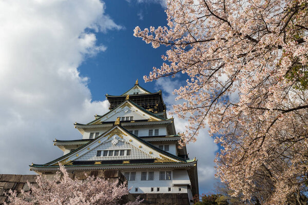 Древний храм Осаки, окруженный цветущими сакурами, Япония
