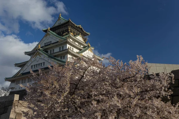Ancien Temple Osaka Entouré Sakura Fleurs Japon — Photo