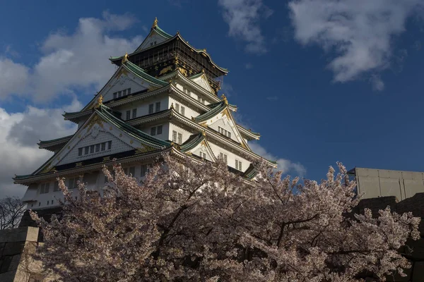 日本古大阪寺 樱花树环抱 — 图库照片