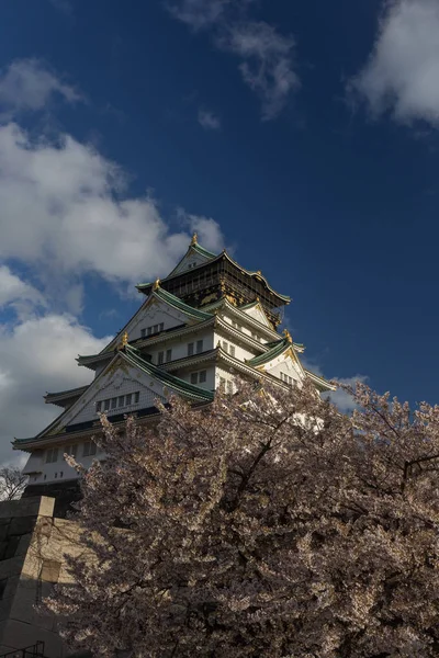 日本古大阪寺 樱花树环抱 — 图库照片