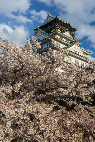 Ancien Temple Osaka Entouré Sakura Fleurs Japon — Photo