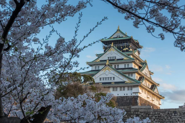 Ancien Temple Osaka Entouré Sakura Fleurs Japon — Photo