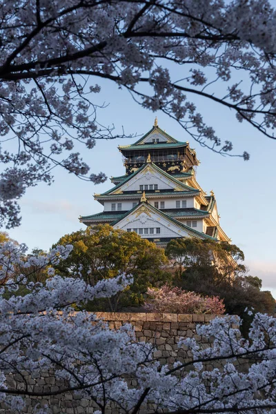 Antiguo Templo Osaka Rodeado Árboles Florecientes Sakura Japón —  Fotos de Stock