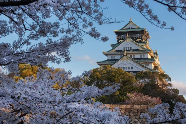 日本白天被树木环绕的古京都寺观 — 图库照片