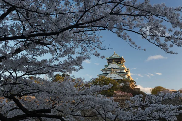 日本白天被树木环绕的古京都寺观 — 图库照片