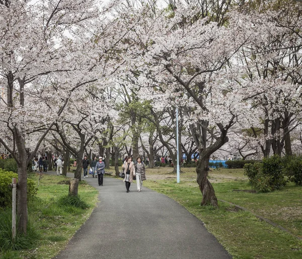 Jardín Osaka Japón —  Fotos de Stock