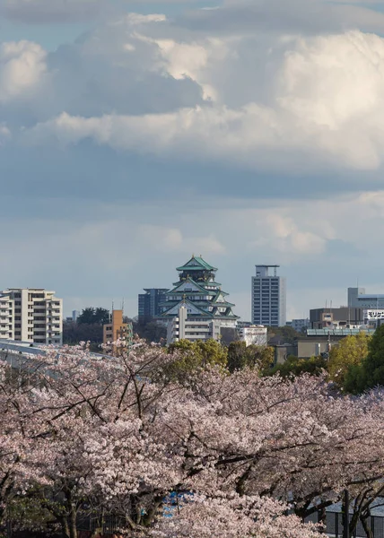 Árboles Sakura Flor Con Fondo Ciudad Osaka Japón —  Fotos de Stock