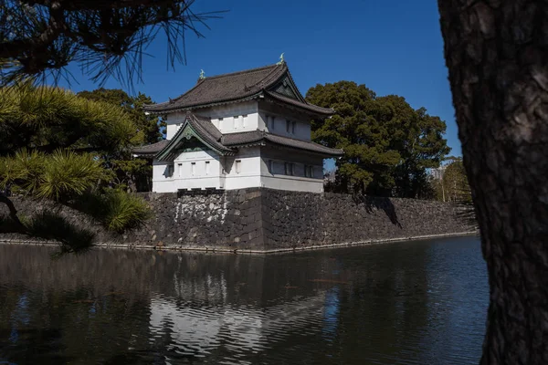 日本で木々 に囲まれた古代の京都寺観 — ストック写真