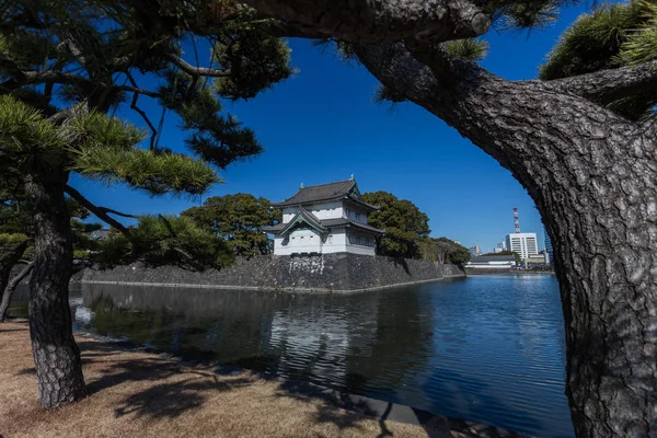 Veduta Dell Antico Tempio Kyoto Circondato Alberi Giorno Giappone — Foto Stock