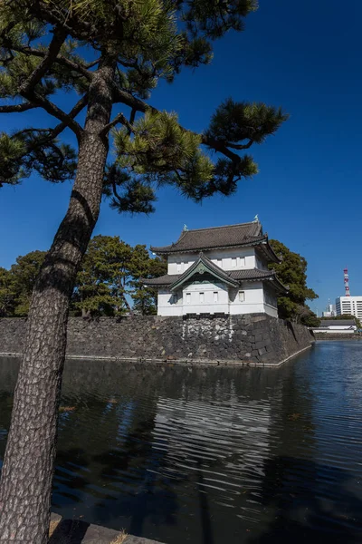 日本白天被树木环绕的古京都寺观 — 图库照片