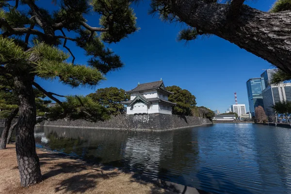 日本白天被树木环绕的古京都寺观 — 图库照片