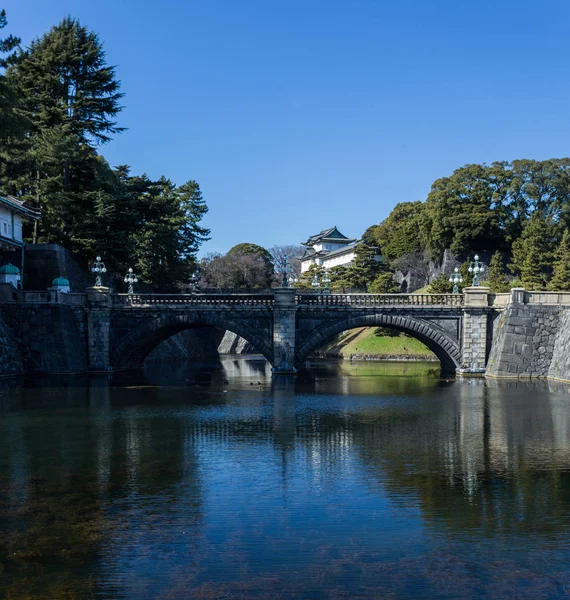 日本白天被树木环绕的古京都寺观 — 图库照片