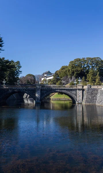 日本白天被树木环绕的古京都寺观 — 图库照片