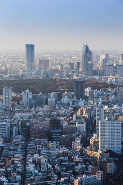Malerischer Blick Auf Die Skyline Der Tokioter Stadt Japan — Stockfoto