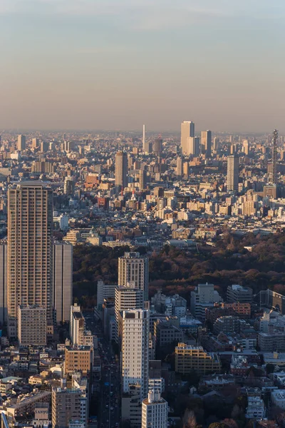 Malebný Pohled Tokyo City Panorama Japonsko — Stock fotografie