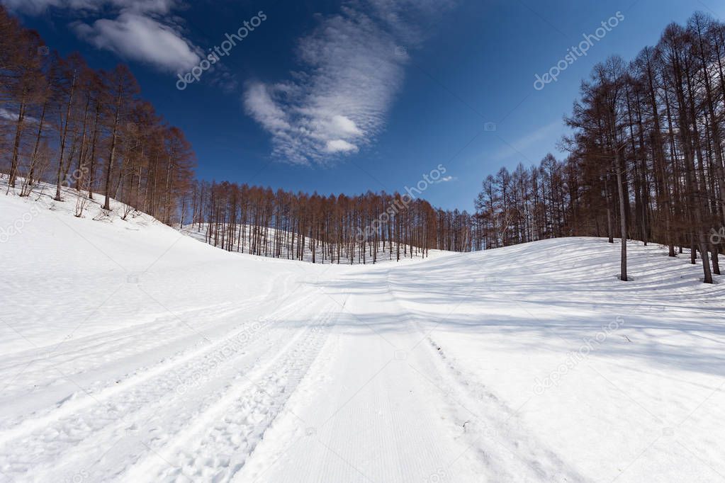 View of snow country in Niigata region at daytime, Japan