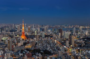 Doğal görünümünü Tokyo şehir manzarası, Japonya