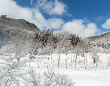 Karlı kış Doğa Merkezi Japonya Dağları ve ağaçları manzaralı