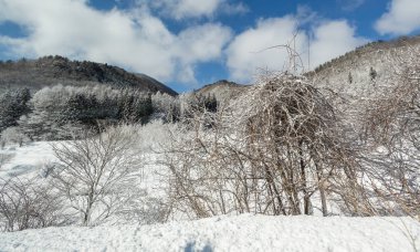 Karlı kış Doğa Merkezi Japonya Dağları ve ağaçları manzaralı