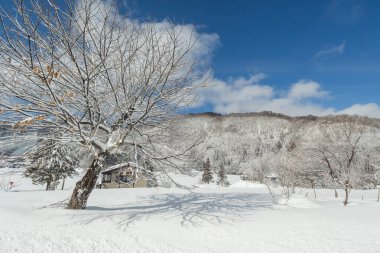 Karlı şehir merkezi Japonya kış doğa ile çevrili.