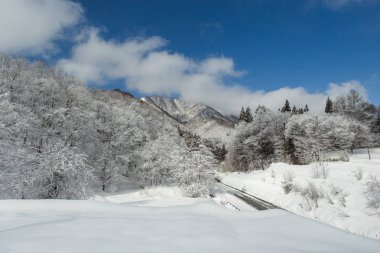 Karlı kış Doğa Merkezi Japonya Dağları ve ağaçları manzaralı