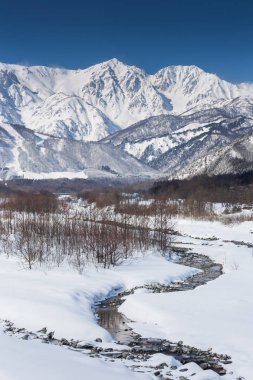 Karlı kış Doğa Merkezi Japonya Dağları ve ağaçları manzaralı