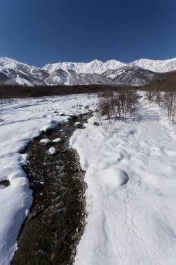 Karlı kış Doğa Merkezi Japonya Dağları ve ağaçları manzaralı