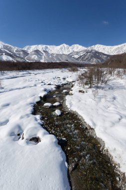 Karlı kış Doğa Merkezi Japonya Dağları ve ağaçları manzaralı