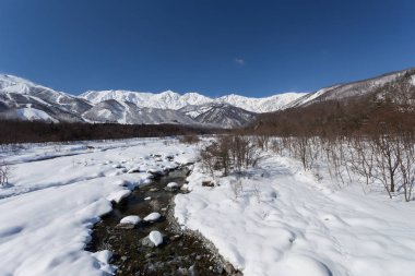 Karlı kış Doğa Merkezi Japonya Dağları ve ağaçları manzaralı