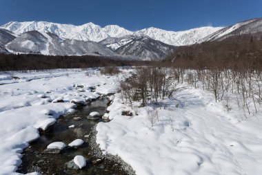 Karlı kış Doğa Merkezi Japonya Dağları ve ağaçları manzaralı