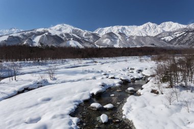 Karlı kış Doğa Merkezi Japonya Dağları ve ağaçları manzaralı