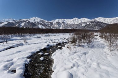 Karlı kış Doğa Merkezi Japonya Dağları ve ağaçları manzaralı