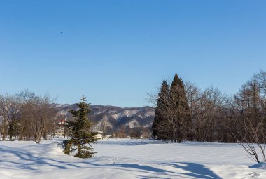 Karlı şehir merkezi Japonya kış doğa ile çevrili.