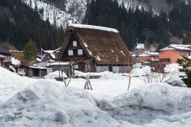 Gündüz, merkezi Japonya'nın Shirakawago Köyü'nde mimarisinin doğal görünümü